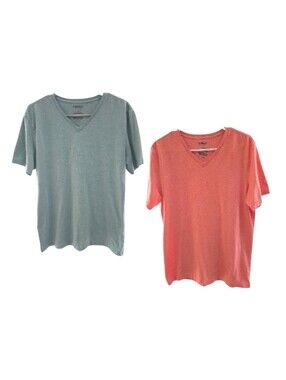Express Short Sleeve Stretch V-Neck Tees in Mint Green and Orange LG